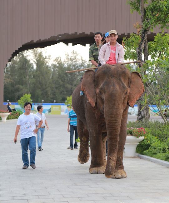 Khách du lịch chen nhau mua vé vào FLC Zoo Safari dịp 30/4 ảnh 6